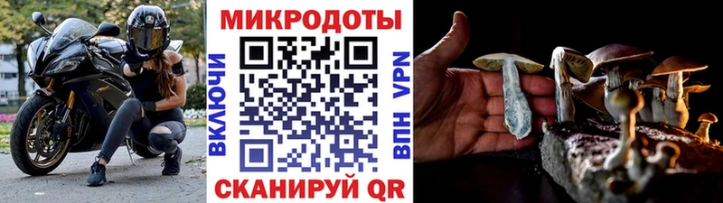 Купить где  Михайловск  Галлюциногенные грибы Magic Shrooms 