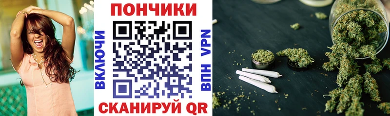 Купить закладки  Михайловск  Конопля OG Kush 
